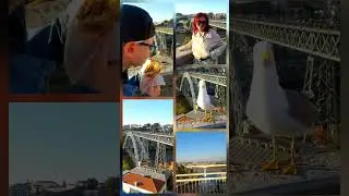 Bakalor, Porto, Portugal, April 2025