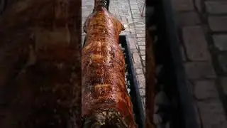 Spit Braai