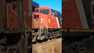 TRAIN WITH FRESH PAINTED CN AND BONNET NOTCHES UP! #railroad #bnsfrailroad #railway