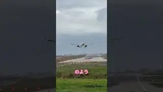 【放送事故寸前】猛烈な横風で機体が斜めに&hellip;！？この判断が命を救った。😱✈️
