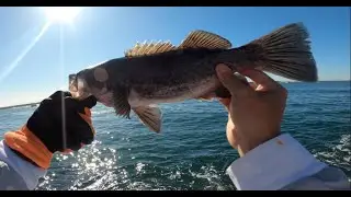 BARVIEW JETTY OCEAN FISHING | CATCH & COOK Pt.2 | Mussels, Sea Asparagus & Fish | OREGON FISHING