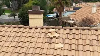 DJI 20260106133841 0012 D