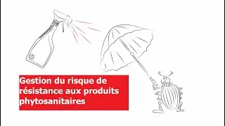 Gestion du risque de résistance aux produits phytosanitaires