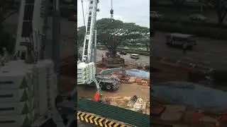big tree transfer from one place to another 😱