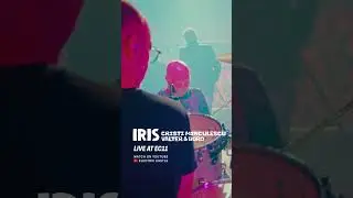 IRIS: Cristi Minculescu, Valter & Boro, LIVE @ Electric Castle 2025