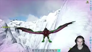 ARK: Base bauen, Base verlieren, repeat  | PvP |  !dc |!watchtime