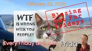 Blazing Cat Fur Fridays - February 20, 2026