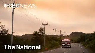 Wildfires trigger state of emergency in parts of N.L.