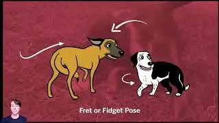 Part 1- How to Speak Dog