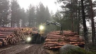 K&ouml;p Skotare EcoLog 574D Klaravik