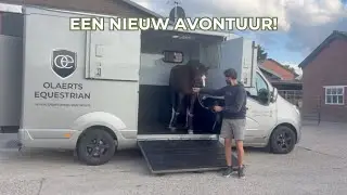 Onze jonge hengst gaat naar dezelfde stal als Uricas! 🤩