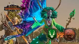 ARIEL Y DURTHU SIEMPRE A LA VANGUARDIA 🌿 ELFOS SILVANOS vs PIELES VERDES 🔥 TOTAL WAR WARHAMMER 3
