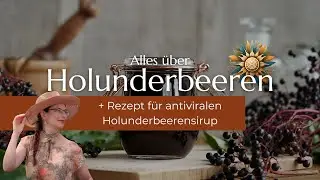 Alles &uuml;ber Holunderbeeren + Rezept f&uuml;r antiviralen Holunderbeerensirup
