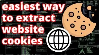 Extract website cookies easily with this step