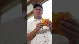 Cheese Slap To Face