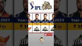 Rashid Khan Ipl Income Year Wise. IPL Auction 2024 #shorts #shortsvideo #india #ipl2024 #ipl