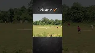 maximum six 🏏⚡ #cricket #cricketfan #cricketlover #cricketfever #sports #sport #cricketer #shotsfeed