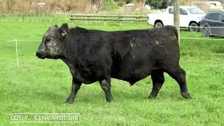 Lot 7  KENHARDT U18
