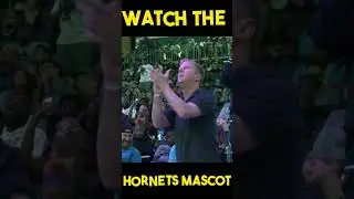Charlotte Hornets Mascot Reacts to Brandon Miller Draft Pick