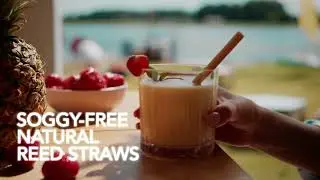 Reedest Jumbo Reed Drinking Straws