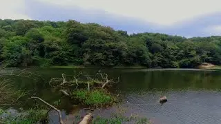 Istanbul's Belgrad Forest