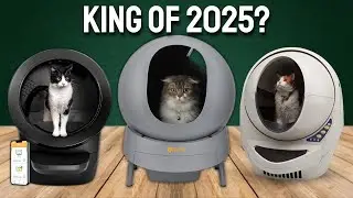 TOP 10 Best Automatic Litter Boxes 2025