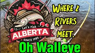 Fishing Red Deer River at Burbank Hill Campground &ndash; Walleye Action & Wildlife Encounter!