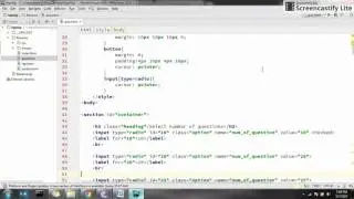JavaScript Quiz Application.