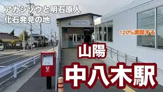 【山陽】中八木駅　120％満喫する　アカシゾウと明石原人の化石発見の地