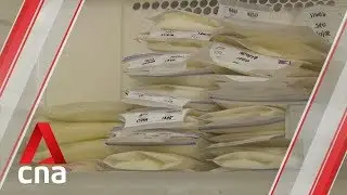 Support for breastfeeding mothers with more accredited baby-friendly hospitals