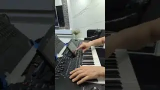 solo farbe i terce balkan muzika pa5x