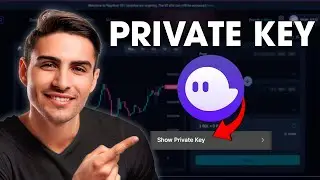 How to Get Your Private Key From Your Phantom Wallet | Tutorial