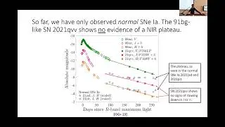 Late-time observations of type Ia supernovae with the Hubble Space Telescope - Or Graur
