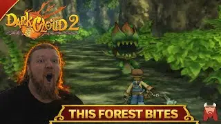 Rainbow Butterfly Wood- Floor 1 [Frightening Forest] Dark Cloud 2
