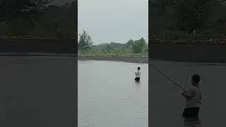 Lempar, tarik. Lempar, tarik......... Lama-lama minggir sendiri. Seperti itulah kelakuan castinger