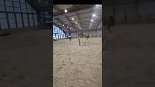 runda 140 cm