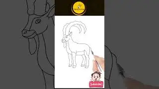 Easy IBEX Drawing for Kids #youtubeshorts #animaldrawing #draw