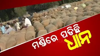 Farmers From Sambalpur Not Able To Sell Their Paddy For Token Issue