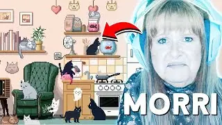 SOFRI UM ACIDENTE DENTRO DE CASA E PRECISO QUE MEUS GATOS FUJAM - six cats under