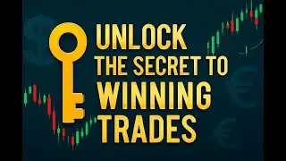 How to Build a Trader's Mindset : Tips from Successful Traders