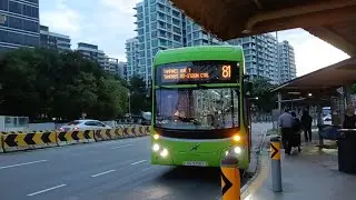 SG3008Y 81