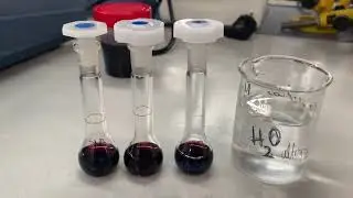Determinaci&oacute;n de ocratoxina-A (OTA) en vinos mediante HPLC con detecci&oacute;n fluorim&eacute;trica