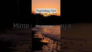 Mirror neurons play a role #shorts #psychologyfacts #facts