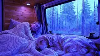 Thunderstorm Rain Sounds at Night for Sleep and Anxiety Relief