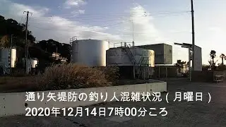 通り矢堤防の釣り人混雑状況（月曜日）（低画質）（20201214）
