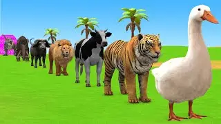 Long Slide Game with Cow Elephant Gorilla Hippopotamus Tiger 3d Animal Game Funny 3d Animals