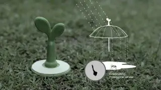RAINSPROUT WEBE