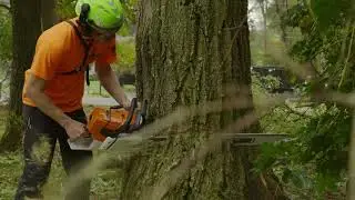 Monster Tree Service - Recruitment Ad
