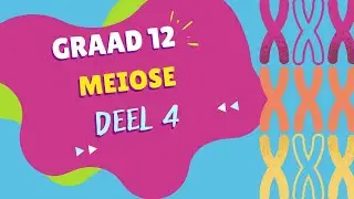 Meiose DEEL 4