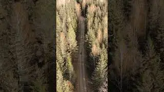 Weekend ride plans Bikers edition #bikershorts #motorcycle #bikerideing #offroad #forestride